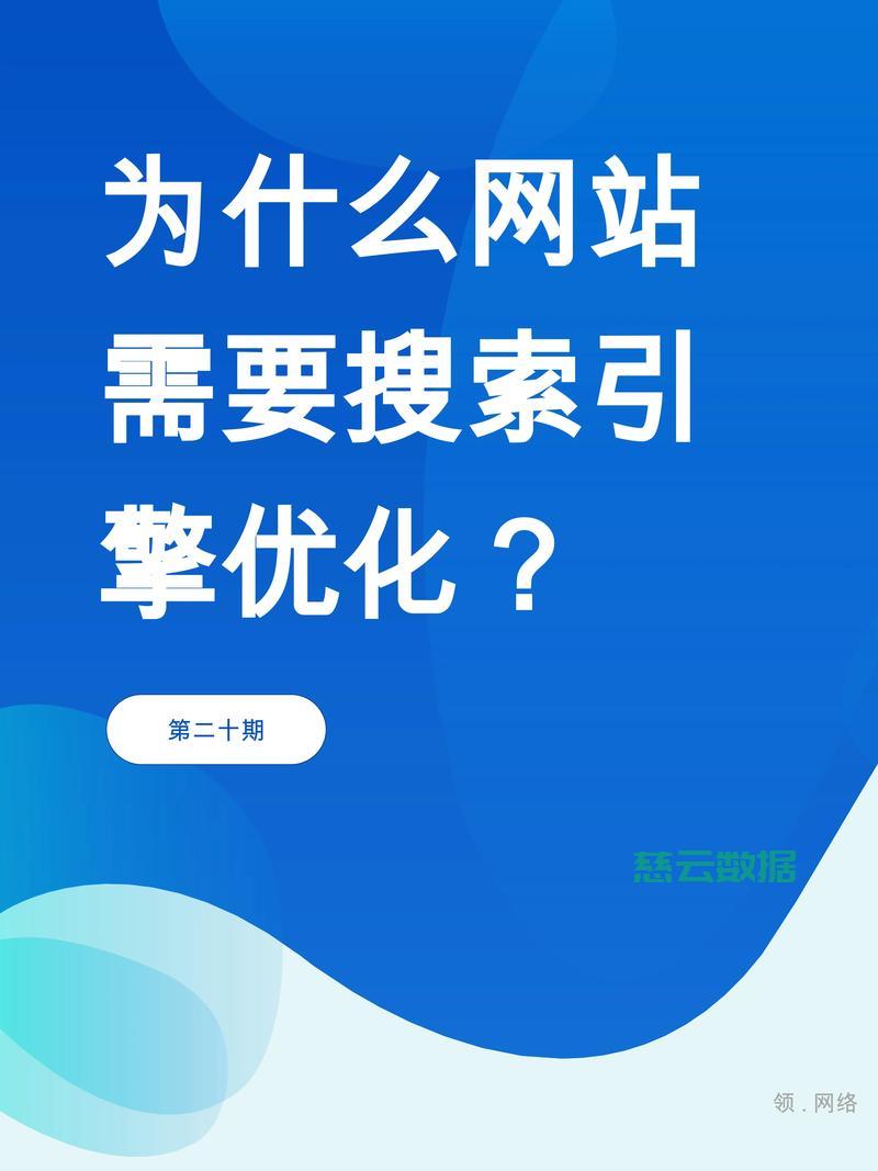 揭秘专业团队助力网站升级优化首选公司！ 第2张