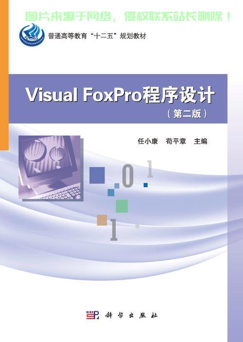 Visual FoxPro源码深度解析，揭开数据库背后的神秘面纱