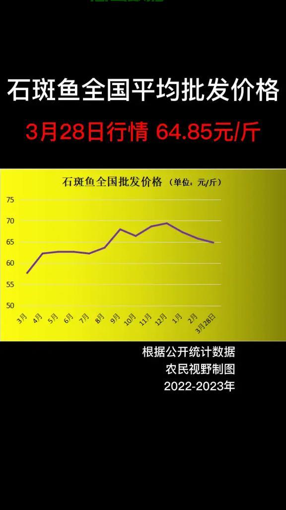 石斑鱼最新价格行情揭秘，吸引目光的热门资讯！ 第1张