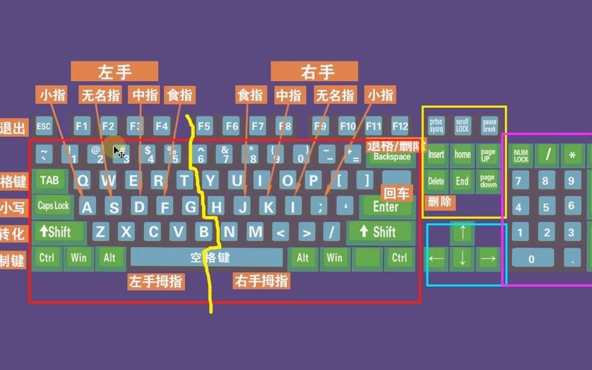 电脑打字指法图 手法图片