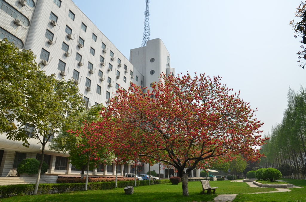 长安大学 机房 怎么样