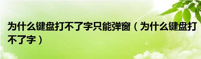 为什么键盘打不了字