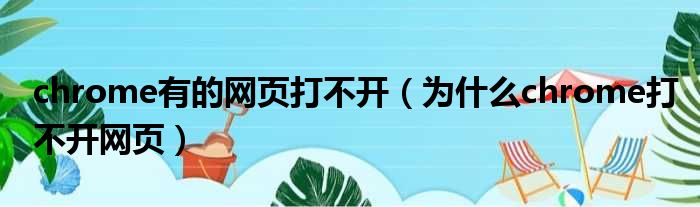 为什么chrome打不开网页