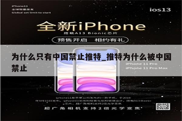 推特为什么中国被禁用