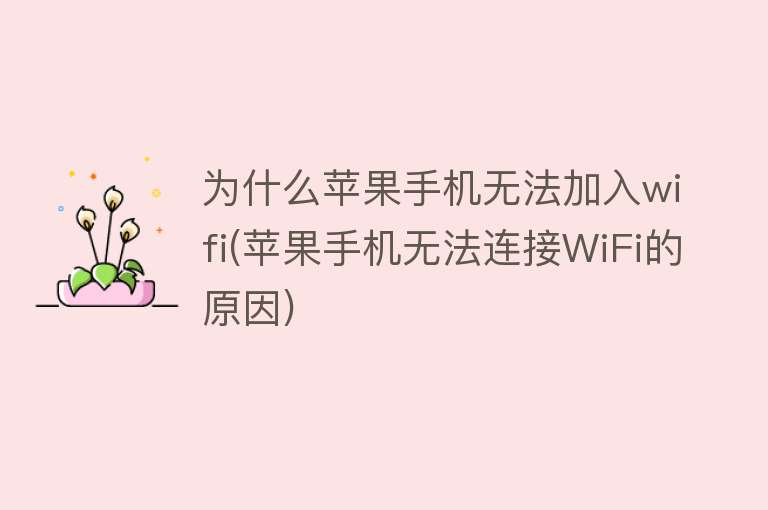 为什么手机无法连接wifi