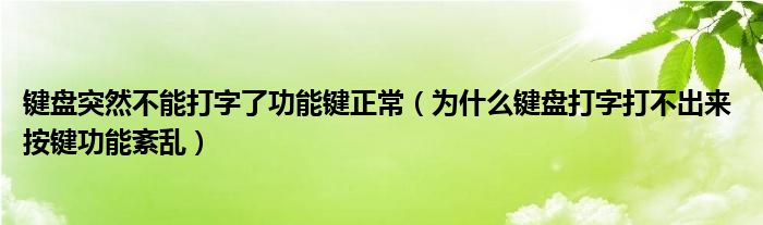 为什么手机不能打字