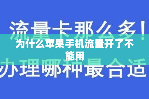 为什么不能用流量